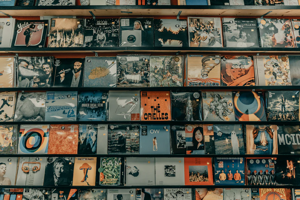 Discos de vinilo ordenados en estanterías de madera
